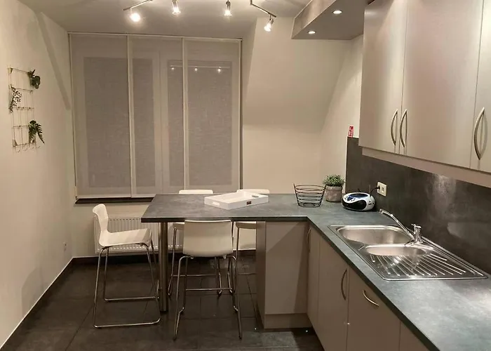 Vakantieverblijf 'mara Cinco' Met Ruim Terras In Ostende